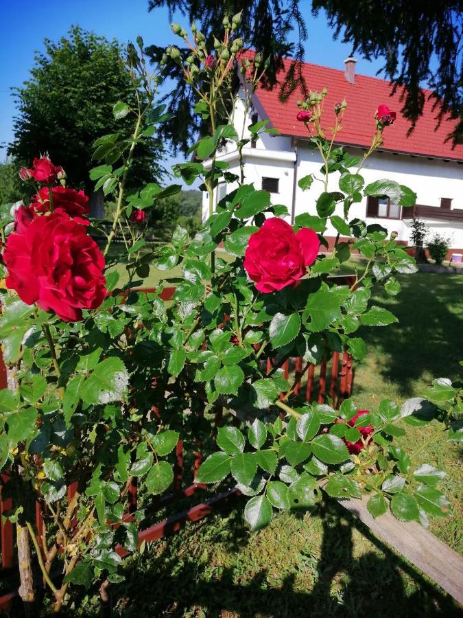 Holiday Home Nada I Milan Lovinac  エクステリア 写真